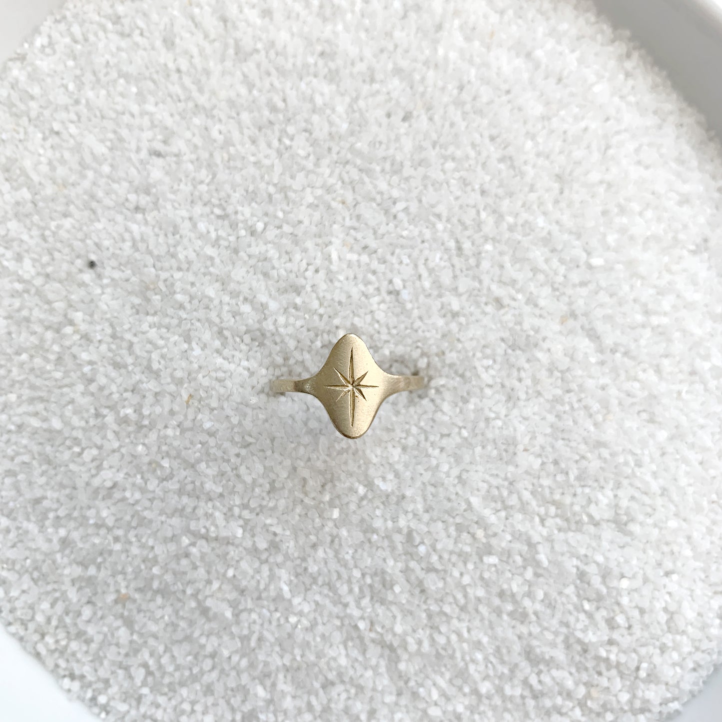 Étoile Signet Ring in 14k Gold Satin Finish